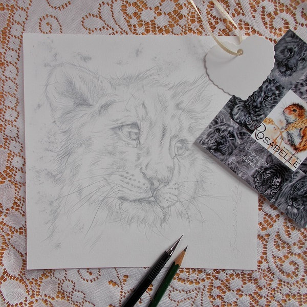 Wildlife Sketch Leopard | David Shepherd Wildlife Foundation